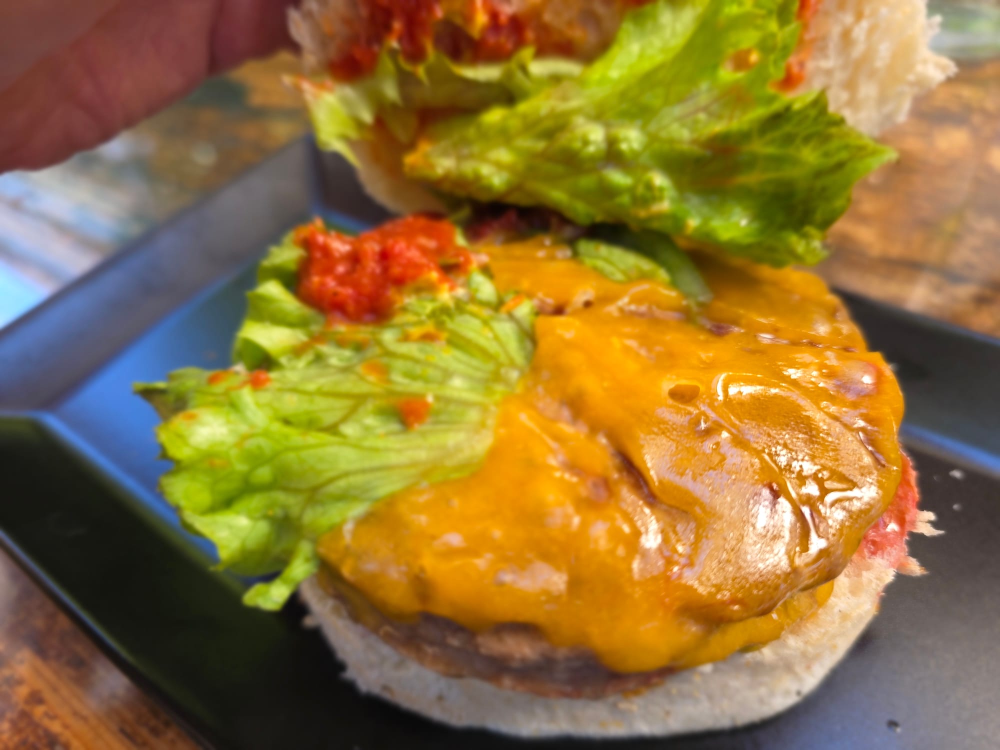 Gros plan sur le fromage du Zoo Burger.