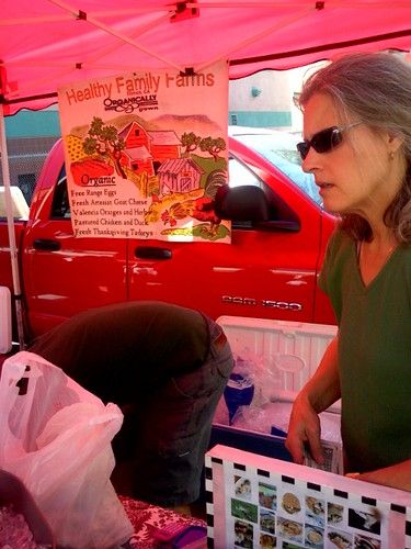 Sharon the Chicken Lady
