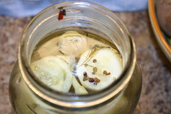 Fermented Pickles