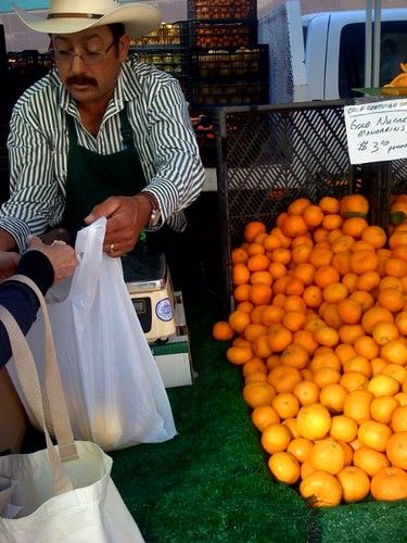 Organic Citrus and Avocado