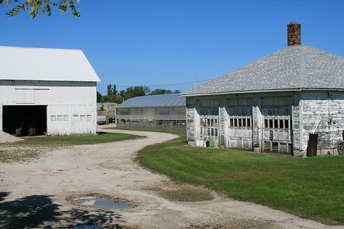 Great Grandpa's Old Place