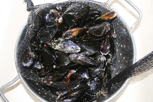 Mussels