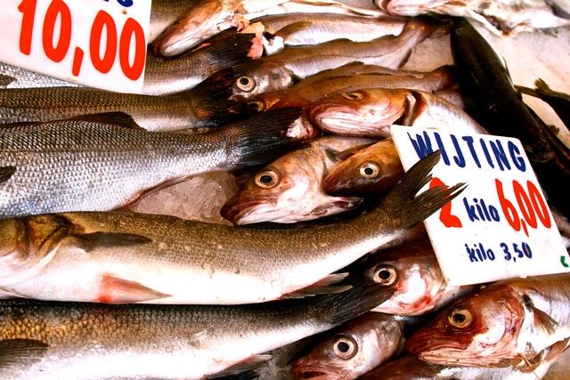 Fish at the farmer's market in Holland