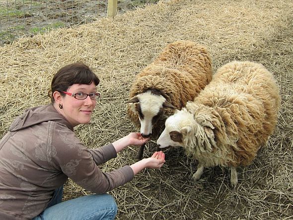 The Leftover Queen & Sheep
