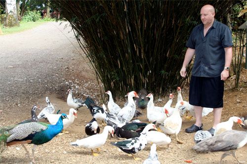 Feeding the Birds on the Road to Hana