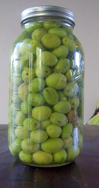 Olives 009