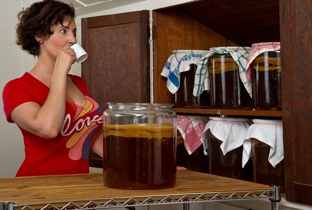 Real Food Devotee: Checkin' Kombucha