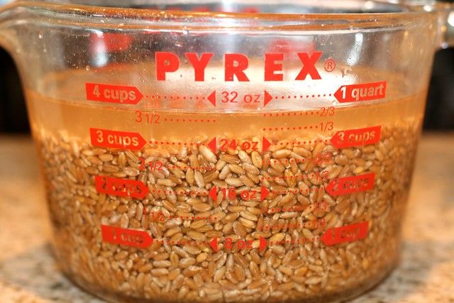 Soaking Wheat Berries