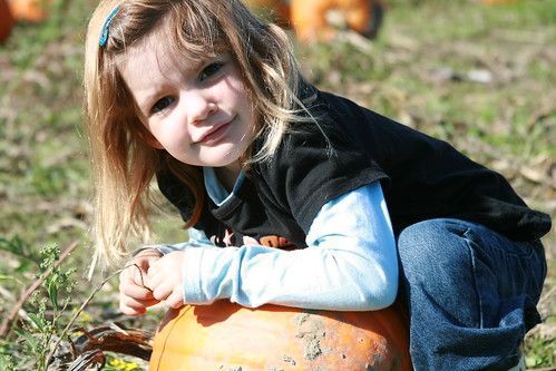Pumpkin Curry Coconut Soup