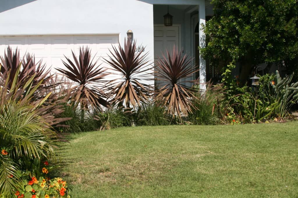 Front Yard Vegetable Garden Makeover: Part One