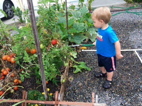 How to Use Straw as Mulch in Your Organic Garden