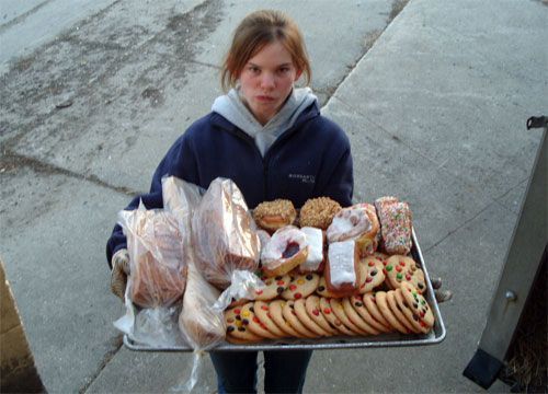Farmer Feeds Doughnuts and Cookies to Cows