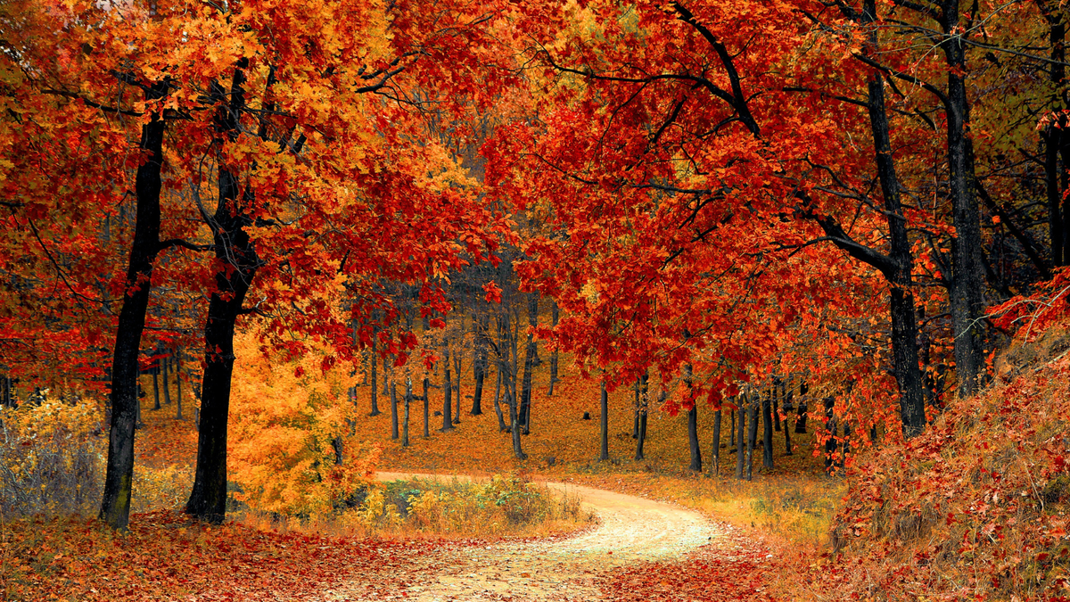 Fall