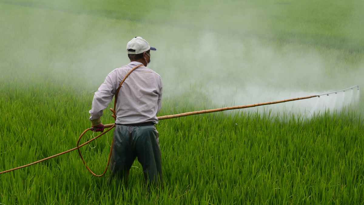 Pesticides