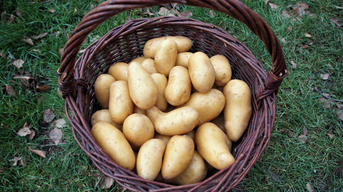 Potatoes