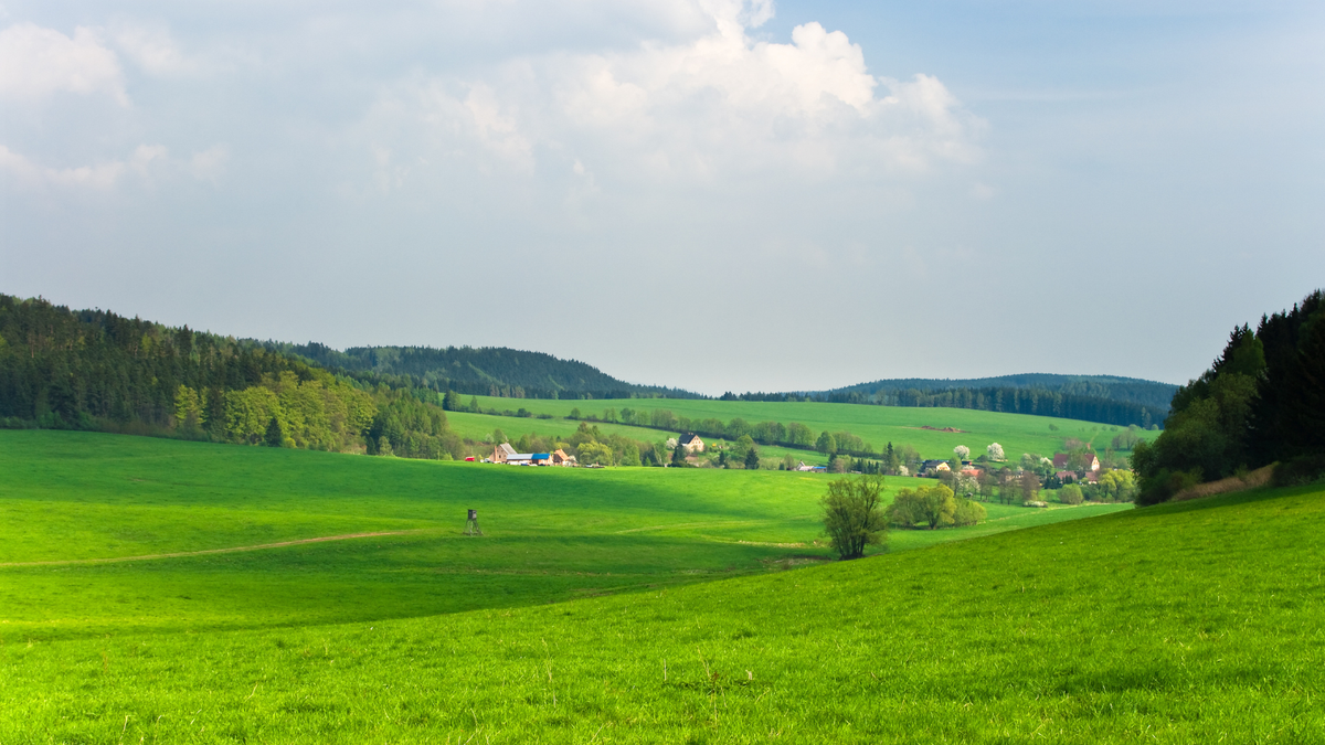 Village Green Network