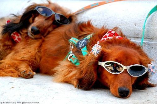 My Plans for the Summer