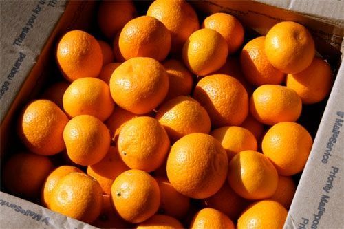 Chinese Mandarin Orange Chicken