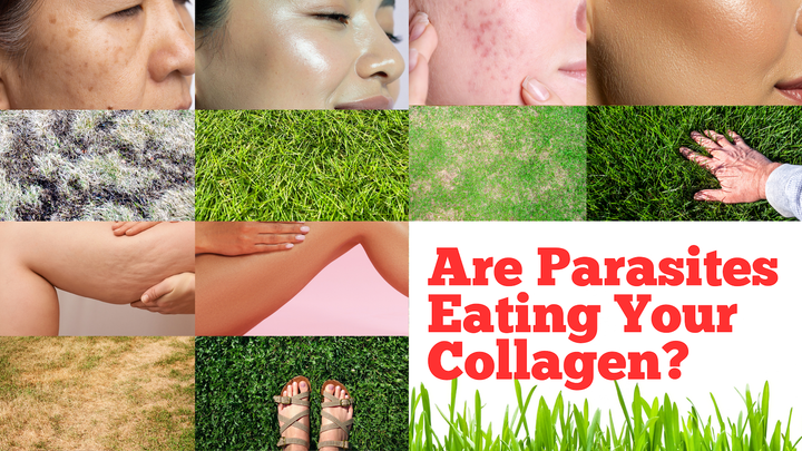 Are Parasites Eating Your Collagen? How Contaminated Water Made Me Fat & Caused Cellulite & "Age" Spots (Part 1)