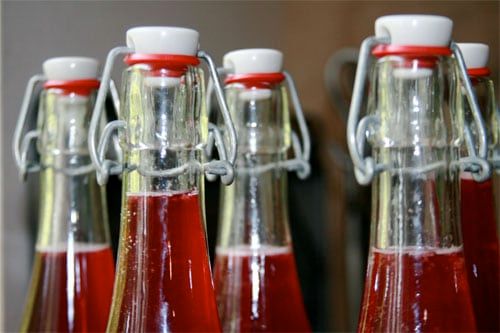 Water Kefir Soda: Save 70% on Store-Bought Soda