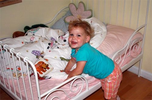My Toddler is Anemic