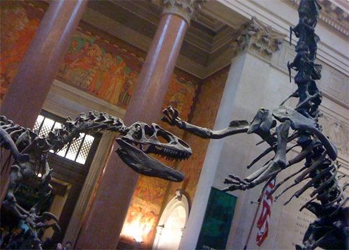 dinosaurs5