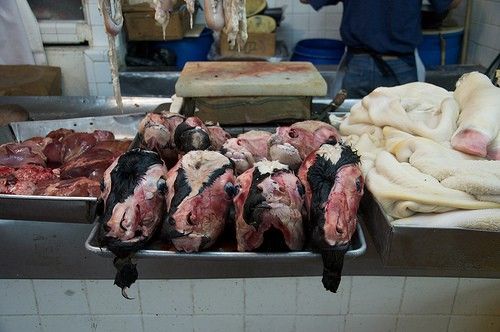 <em>Liver, goat’s heads, and tripe in a mercado in Guadalajara</em>” width=”500″ /><figcaption id=