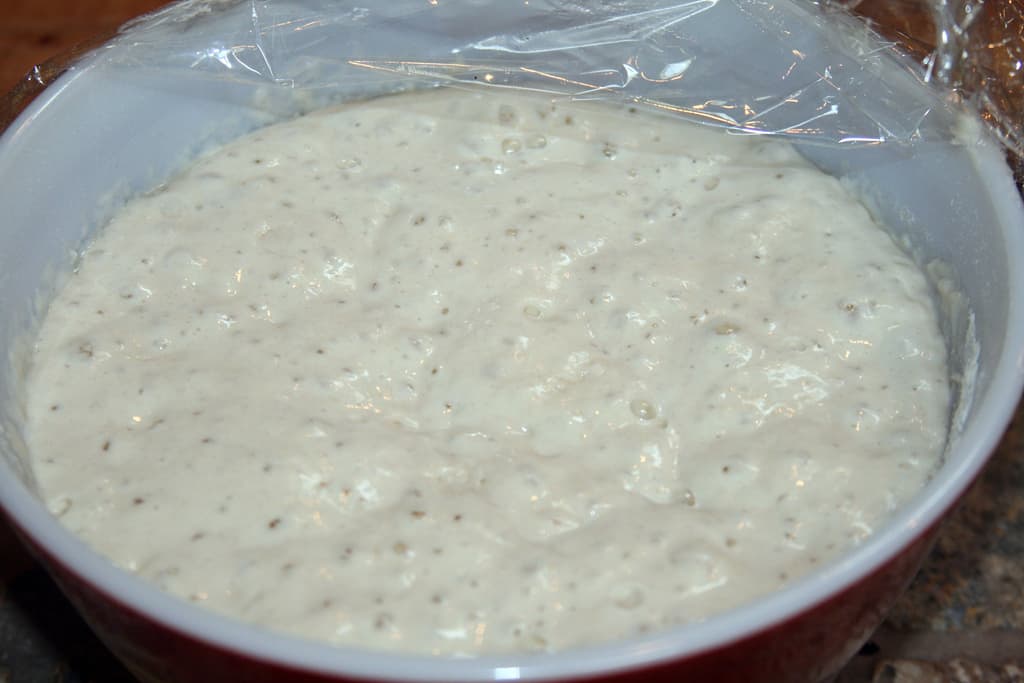 No Knead Sourdough Bread