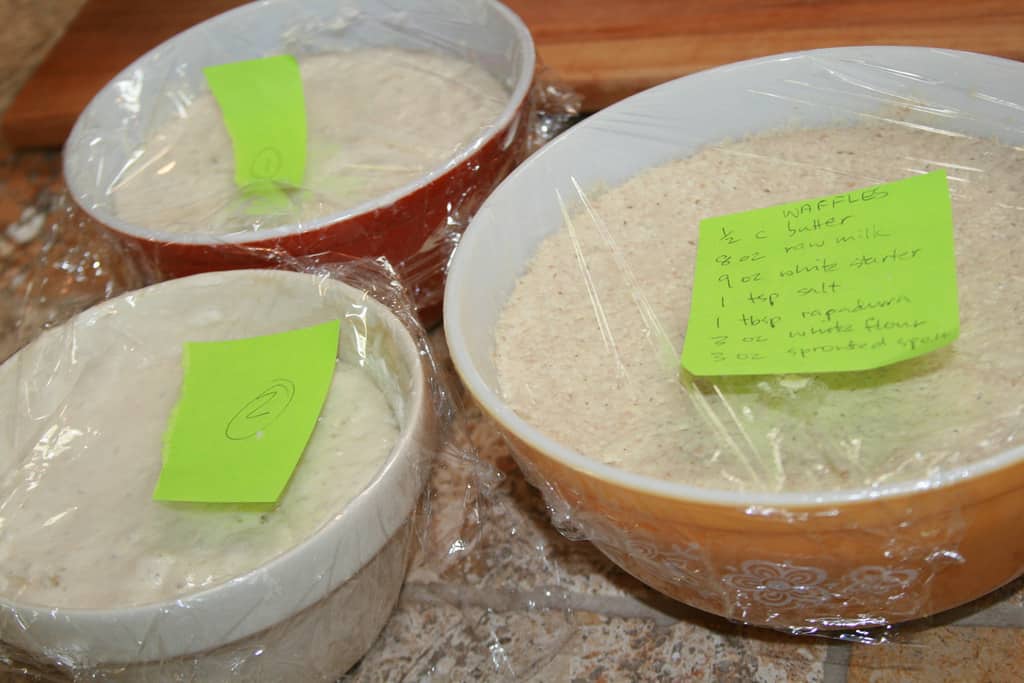 No Knead Sourdough Bread