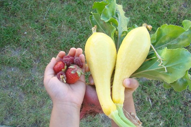 Nourished and Nurtured:Bounty Abounds