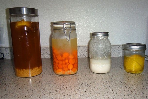 Hybrid Rasta Mama: Water kefir, ginger carrots, gluten free sourdough starter