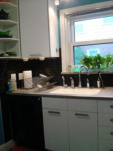 Kitchen herbs