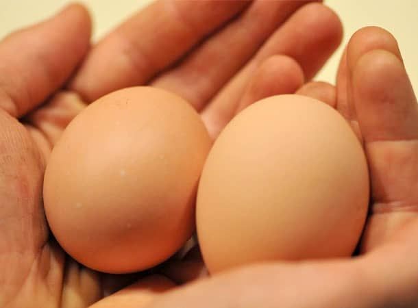 Radically Natural Living: Free-range eggs