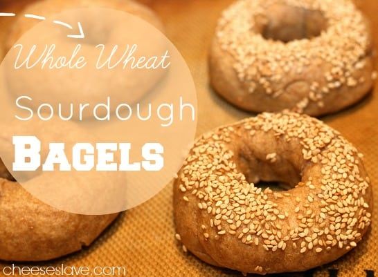 bagel