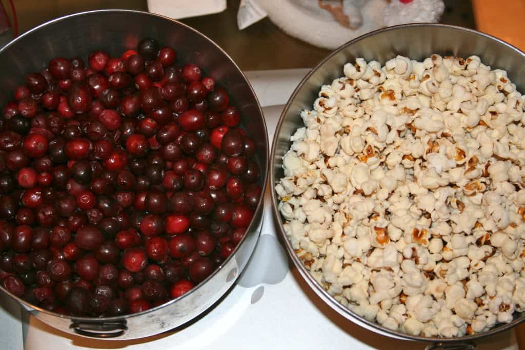 Homemade Christmas Ornaments Made with Real Food
