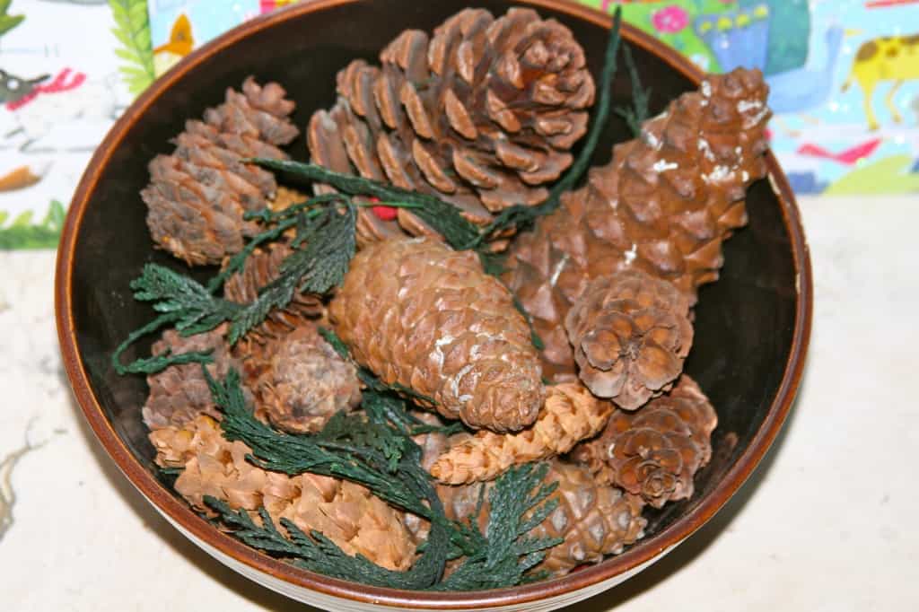 Homemade Christmas Ornaments Made with Real Food