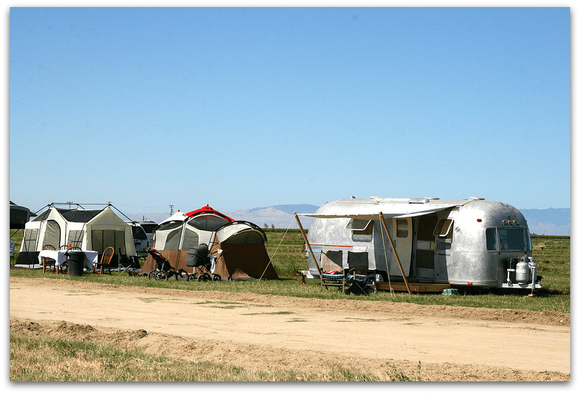 Camping with the Cows at Organic Pastures Dairy