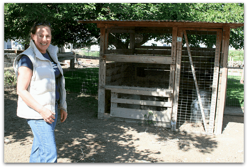 Camping with the Cows at Organic Pastures Dairy