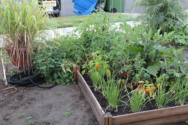 garden01
