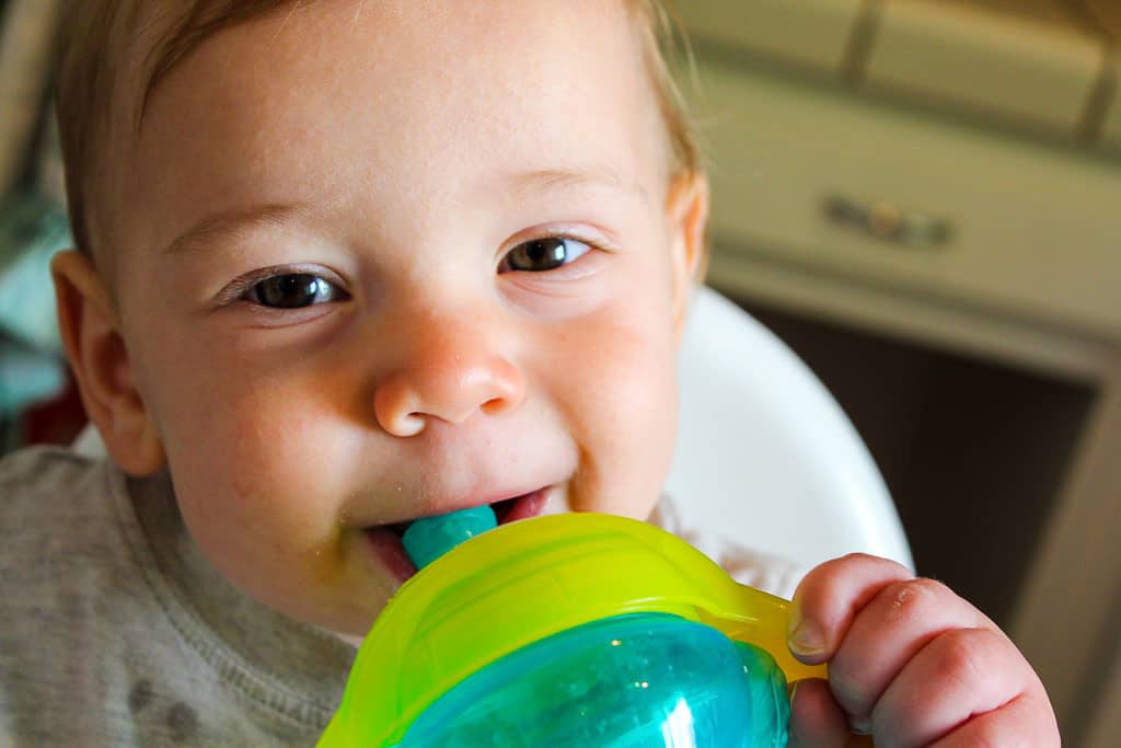 Minestrone-pressure-cooker-sippycup