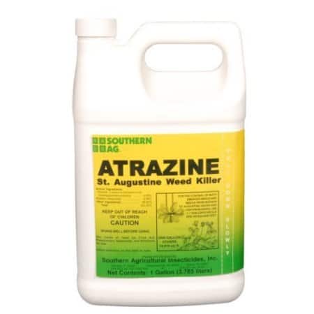 Are Pestcides Feminizing Our Men? Water
