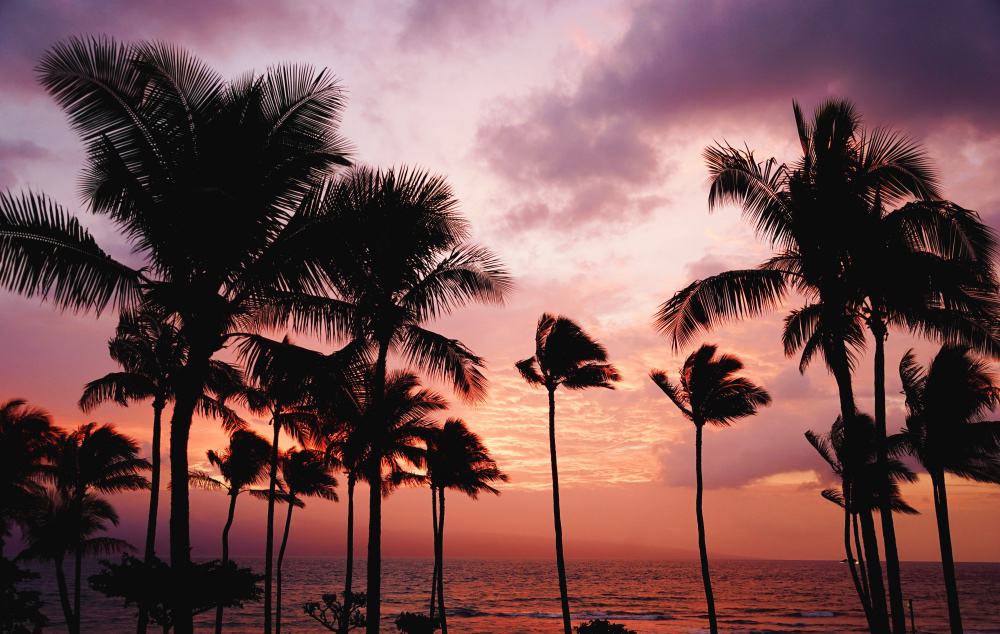 travel bucket list