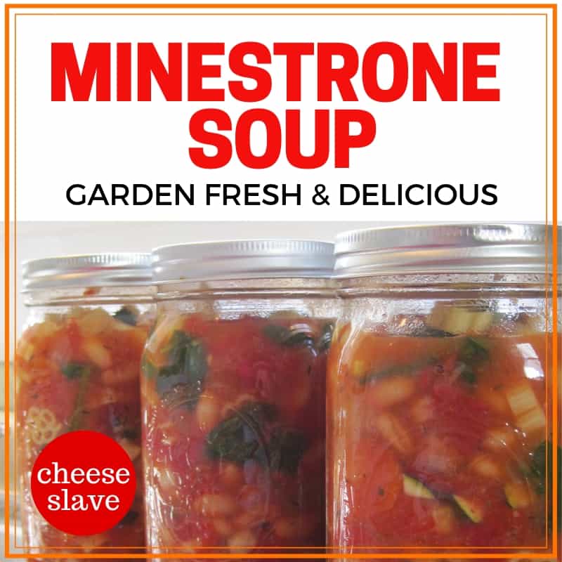 Minestrone Soup