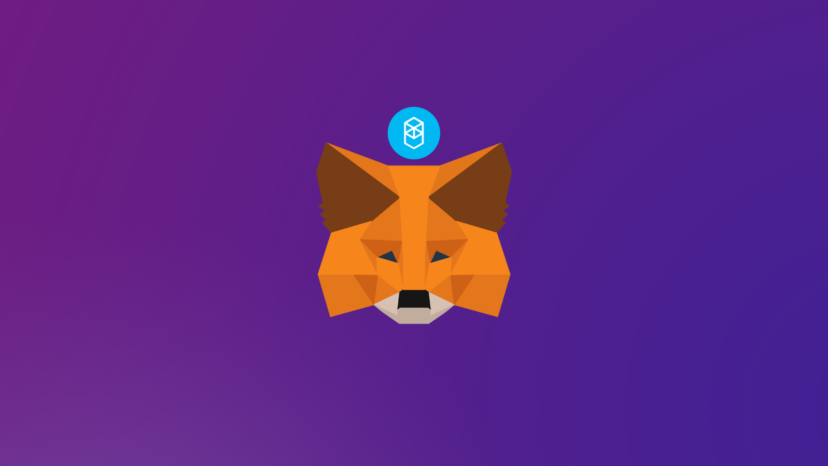 How to add Fantom (FTM) to MetaMask Wallet