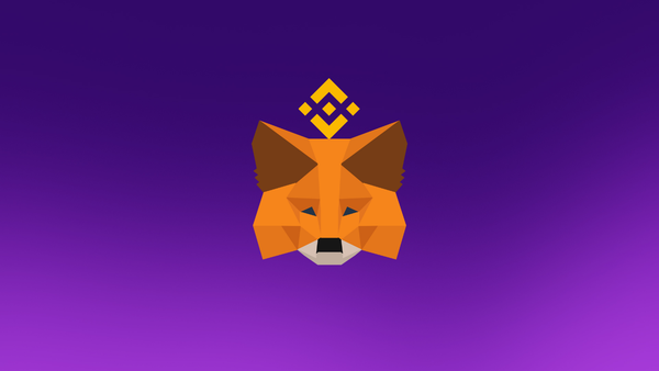 How to Add Binance Smart Chain (BSC) to MetaMask Wallet