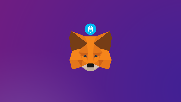 How to add Fantom (FTM) to MetaMask Wallet