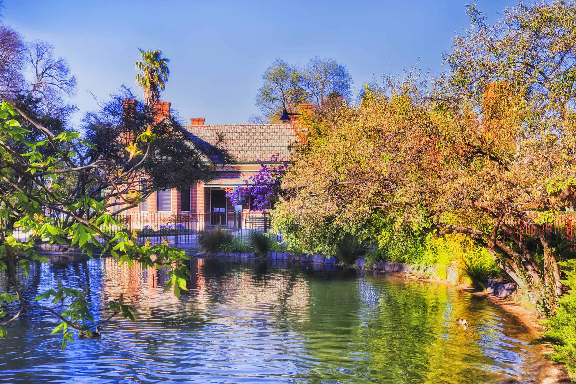 A pond in Machattie Park, Bathurst, surrounded by trees and greenery on a summer day.