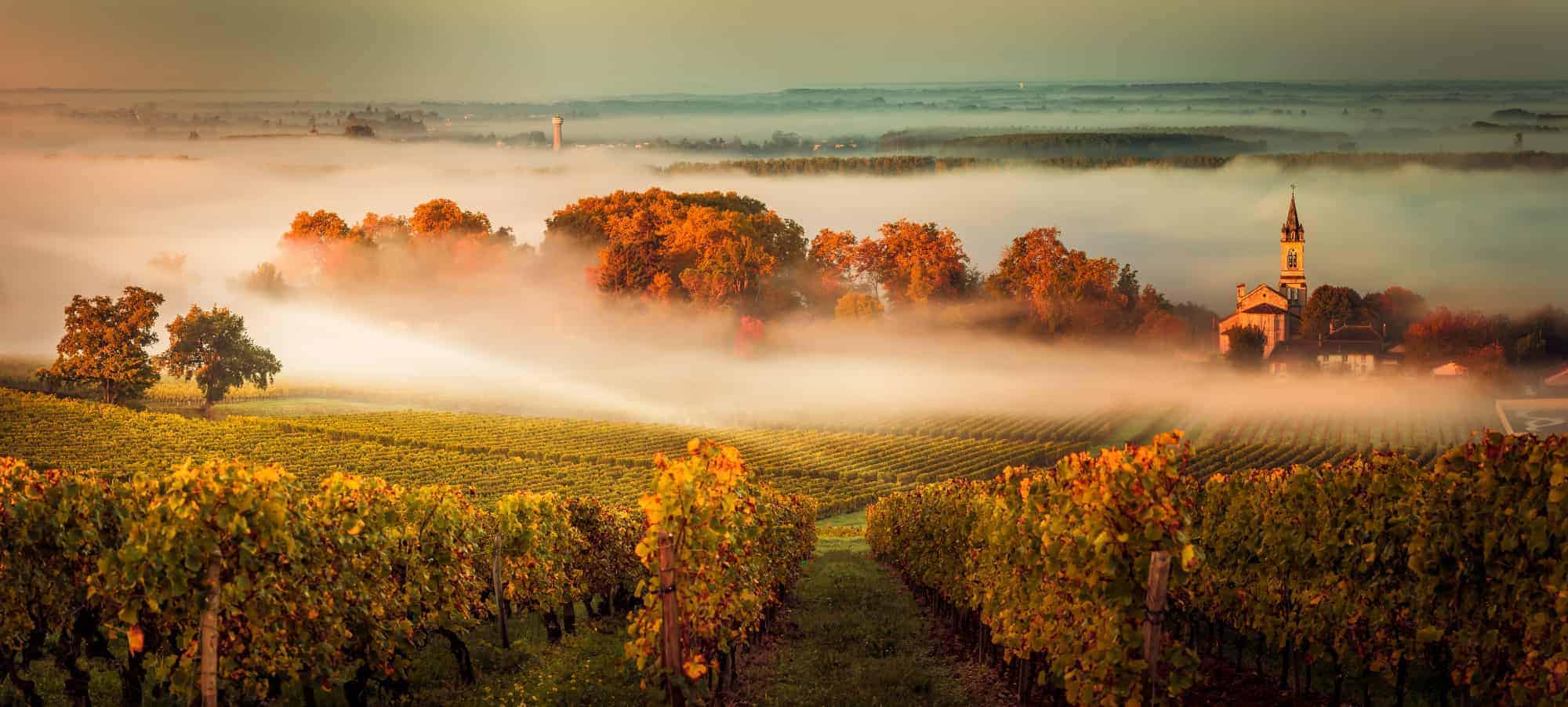 Sunrise scene in Bordeaux 