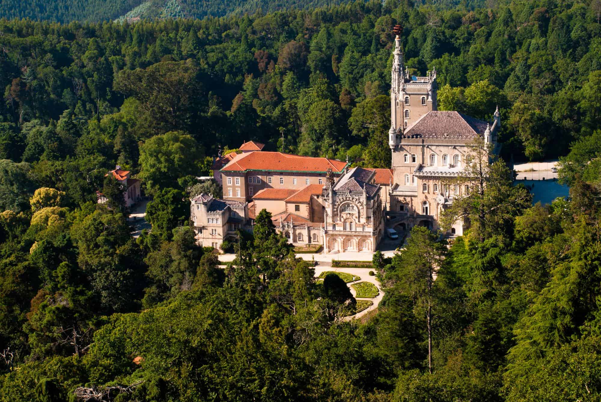 Bussaco forest and the palace views