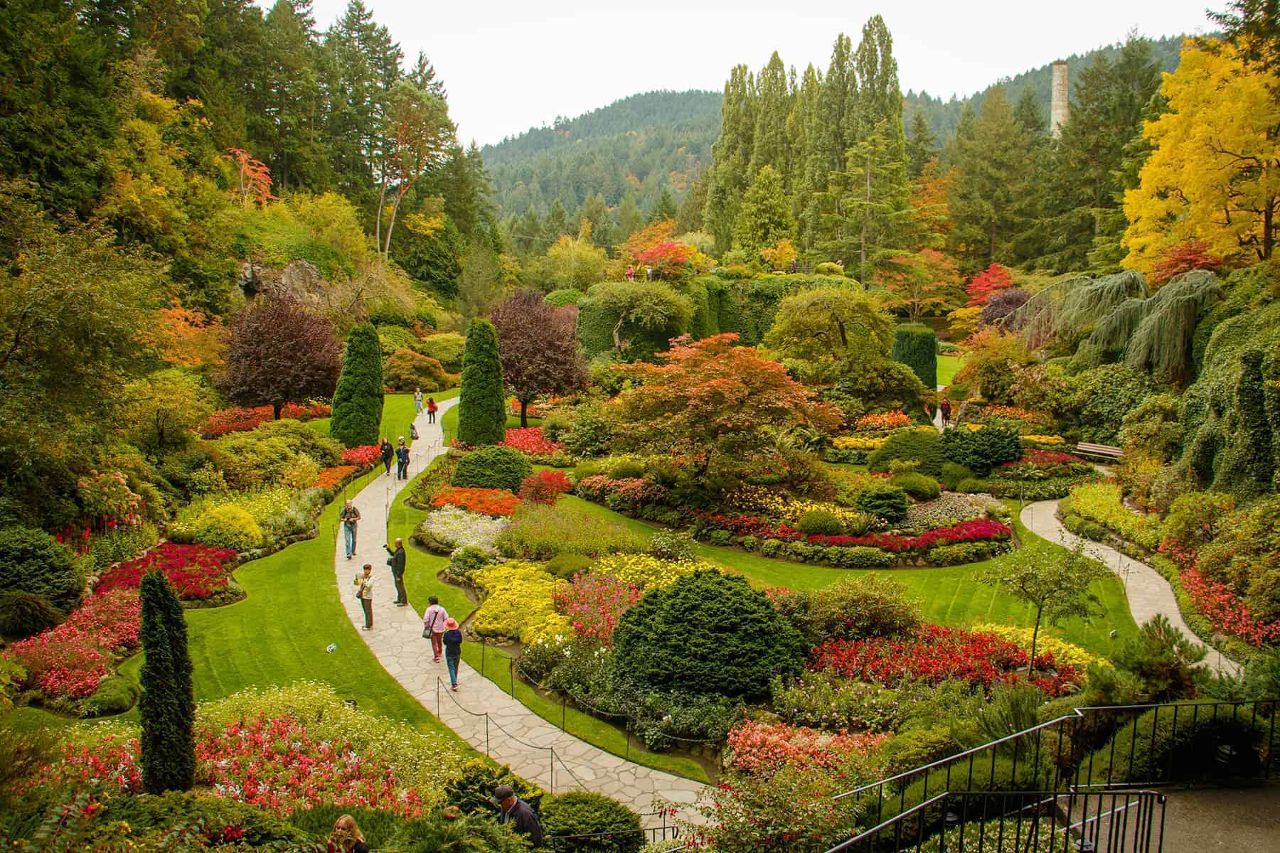 the Butchart Gardens 